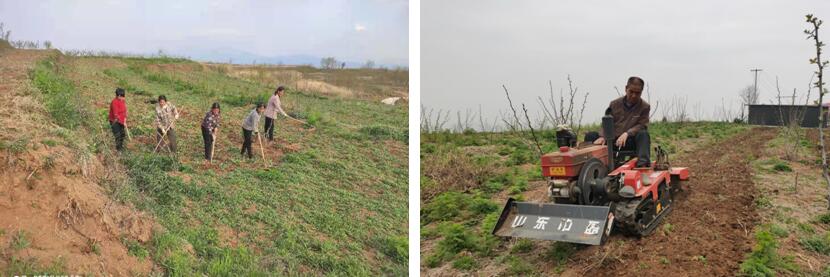 191621409081291438.jpeg QQ截圖20210517111147.jpg