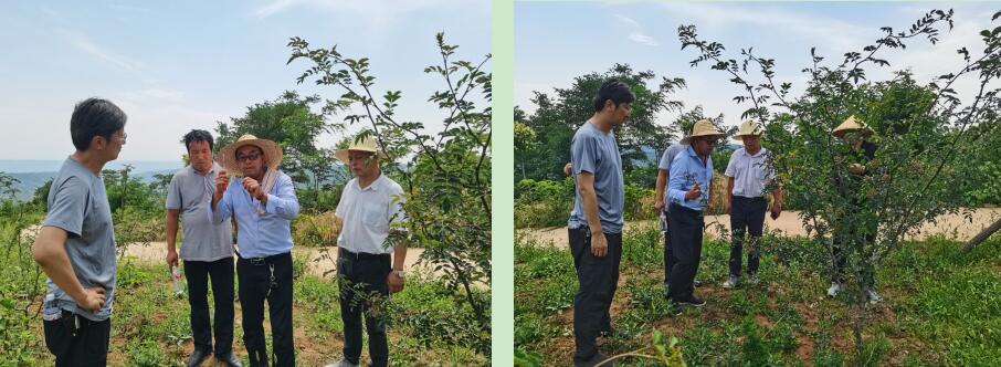 271630034694972319.jpeg 271630034694972319.jpeg