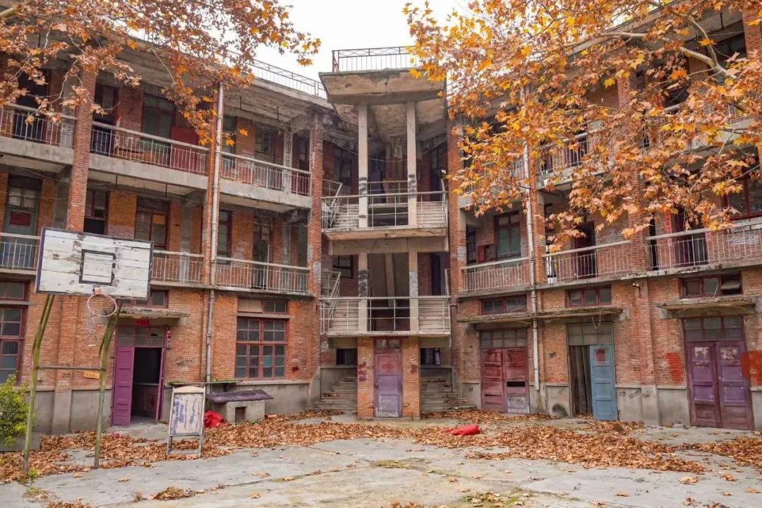 081746680327705662.jpeg 081746680327705662.jpeg