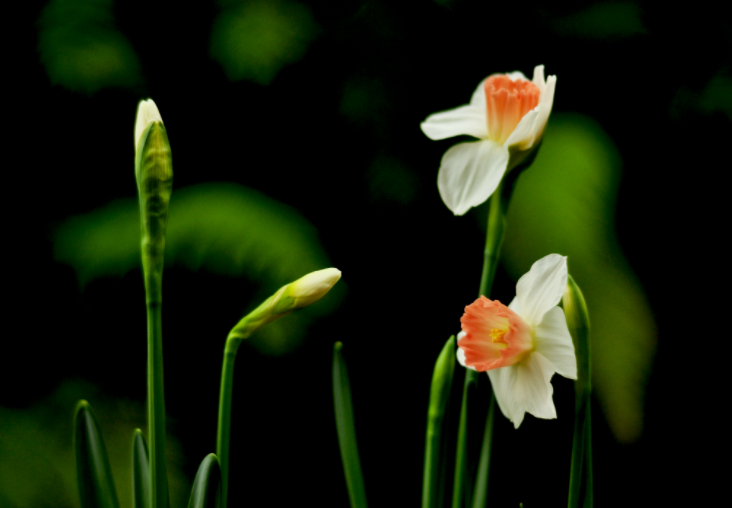 大家都做生態(tài)文明建設(shè)的實踐者、推動者（生態(tài)論苑）