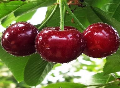 扶貧工作動態(tài)(第122期)