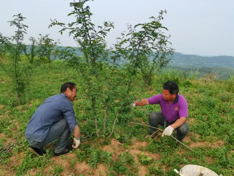 扶貧工作動態(tài)(第121期)
