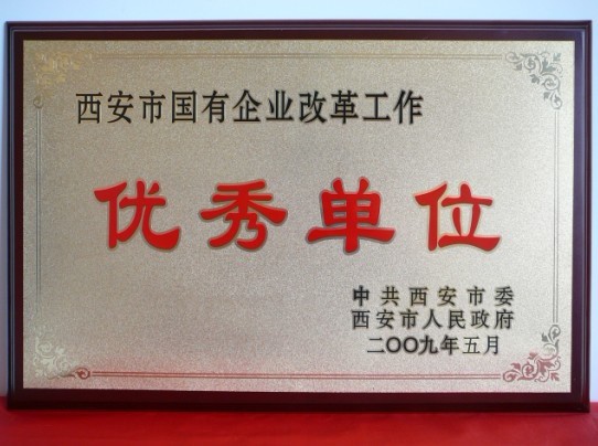 2009年5月，被西安市委、市政府評(píng)為西安市國(guó)企業(yè)改革工作優(yōu)秀單位