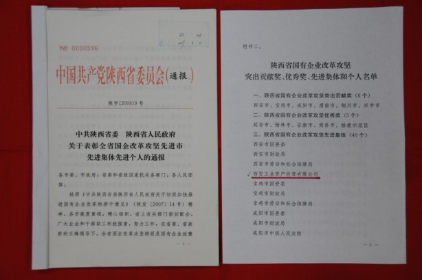 2009年2月，被陜西省委、省政府授予陜西省國(guó)有企業(yè)改革攻堅(jiān)先進(jìn)集體