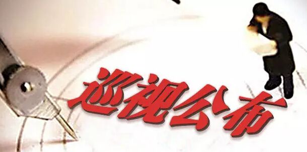 中共西安工業(yè)資產(chǎn)經(jīng)營公司黨委 關于巡視整改情況的通報