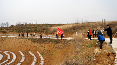 種下綠色希望 共建美麗馬王