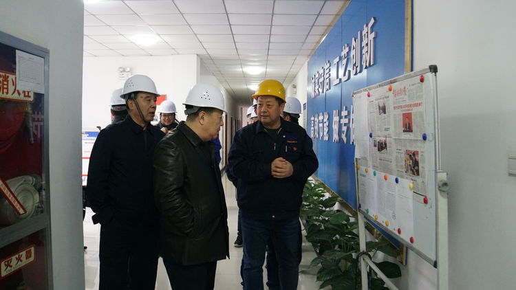 集團(tuán)領(lǐng)導(dǎo)金輝帶隊(duì)赴標(biāo)準(zhǔn)電梯、標(biāo)準(zhǔn)熱處理進(jìn)行工作調(diào)研