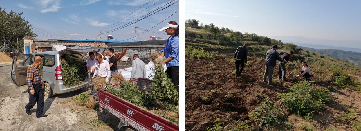 1574235781887659.jpg 1574235781887659.jpg