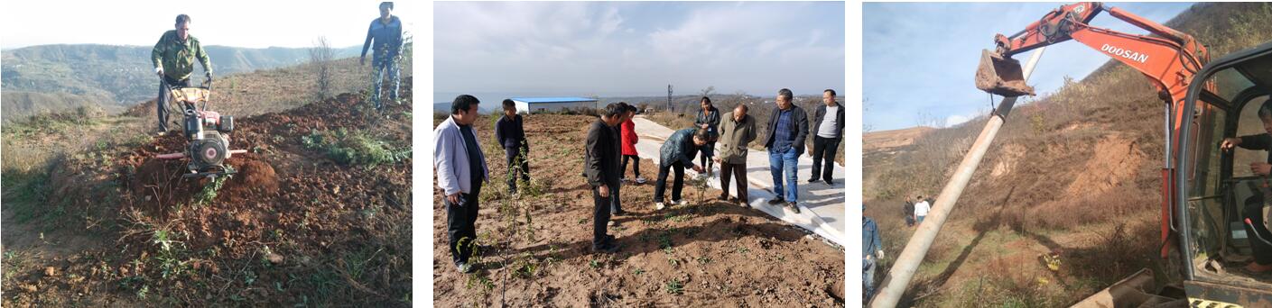 1576200577138261.jpg 1576200577138261.jpg