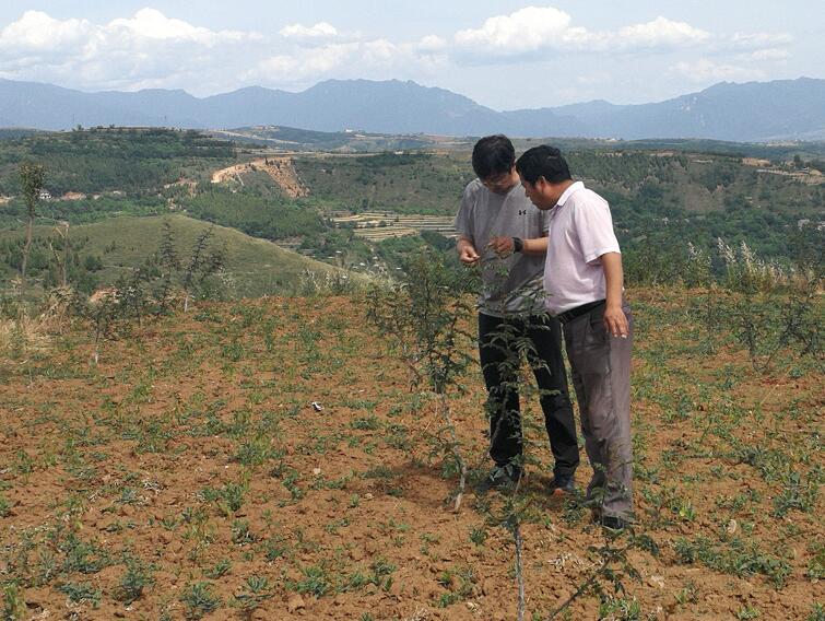 1592810970542458.jpg 1592810970542458.jpg